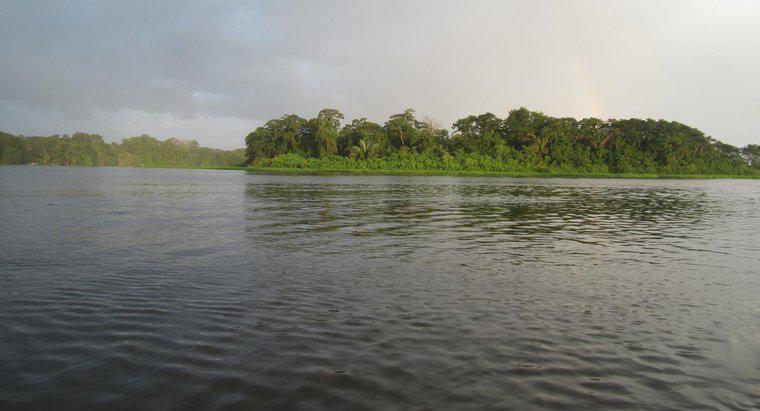 Dlaczego rzeka Amazon jest ważna?