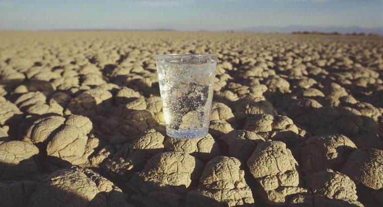 Ile dni może przetrwać człowiek bez wody?