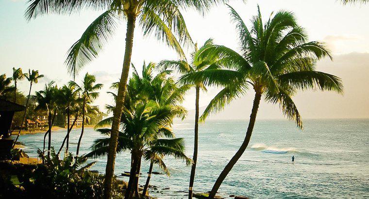 Jakie są ciekawe fakty na temat Hawajów?