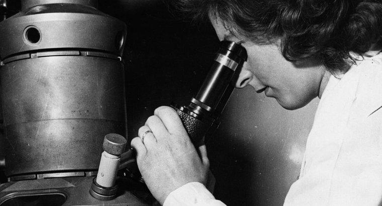 Kto wynalazł mikroskop elektronowy?