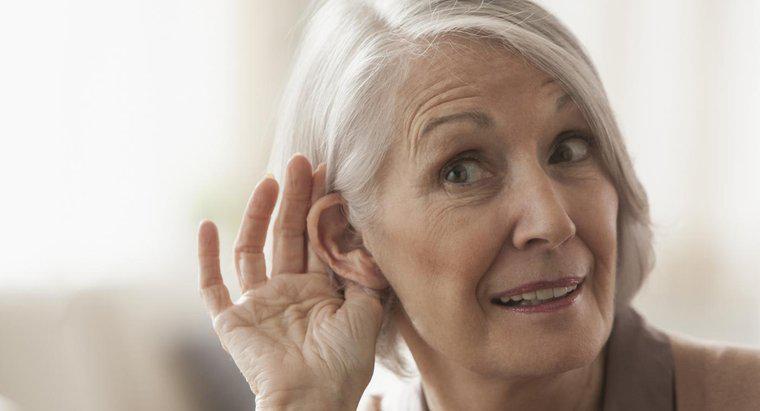 Jaki jest przybliżony zakres słuchu ludzkiego?