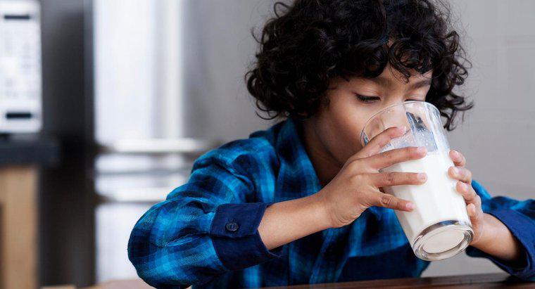 Dlaczego mleko zamarza szybciej niż inne płyny?
