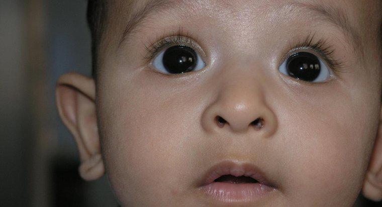 Czy oczy rosną po urodzeniu?