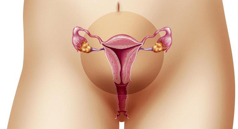 Jaki jest normalny zakres grubości endometrium?