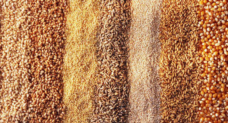 Jaka jest różnica między jęczmieniem a pszenicą?