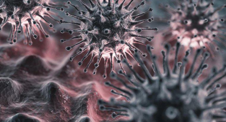 Jaki jest okres inkubacji wirusa grypy?