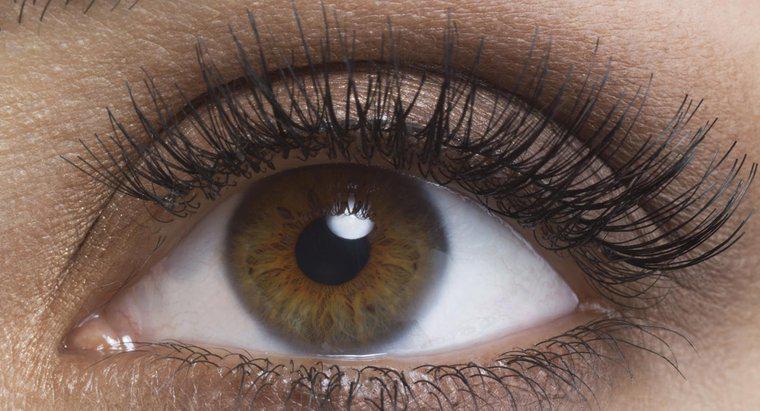 Jaki procent populacji ma brązowe oczy?