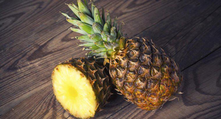 Jak rośnie roślina ananasowa z góry ananasowej?