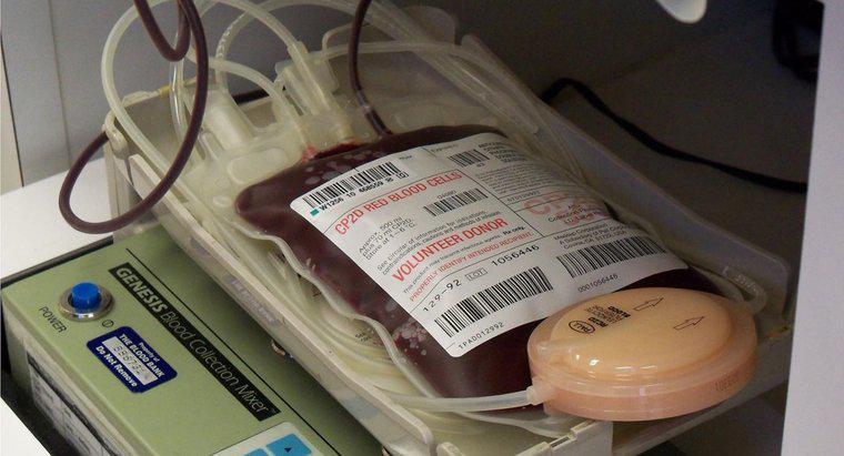 Co się stanie, jeśli krew jest zbyt cienka?