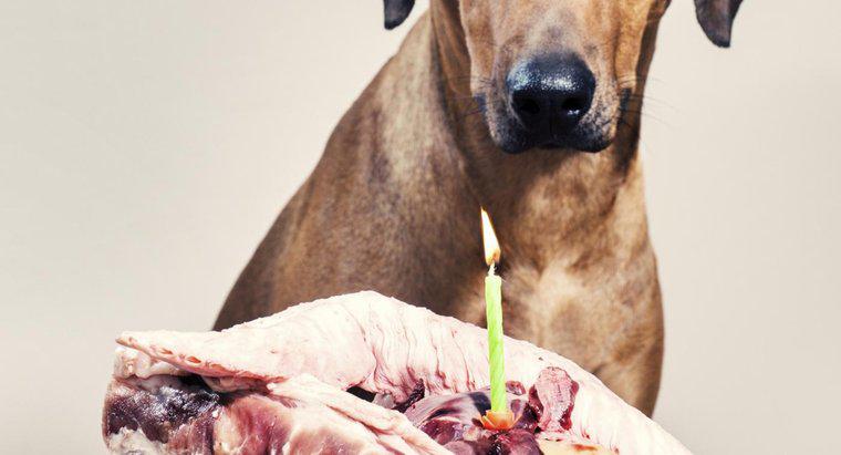 Czy psy mogą jeść kości żebra?