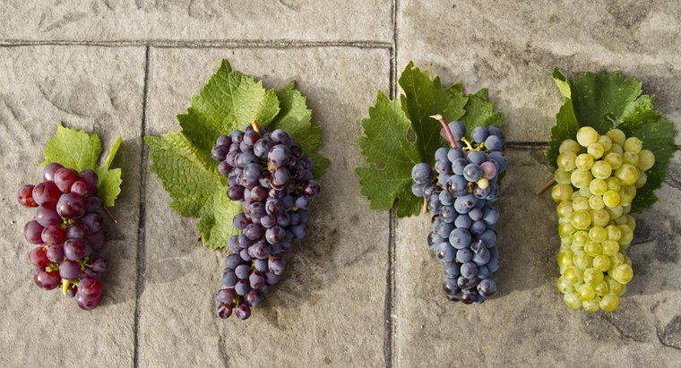 Czy zielone winogrona są zdrowsze niż czerwone winogrona?