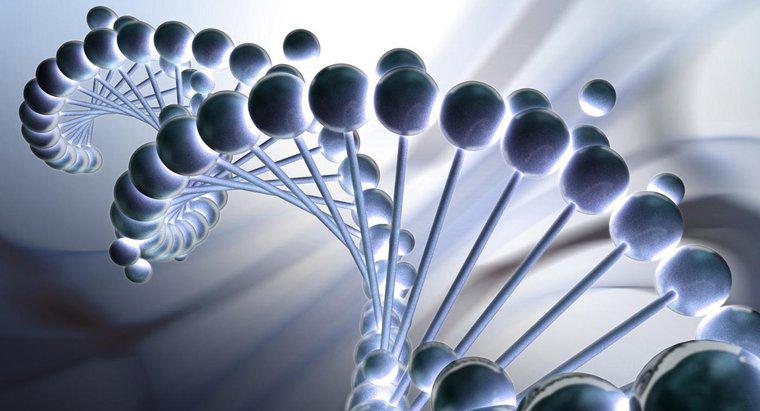 Jakie są powtarzające się jednostki, z których wywodzi się DNA?