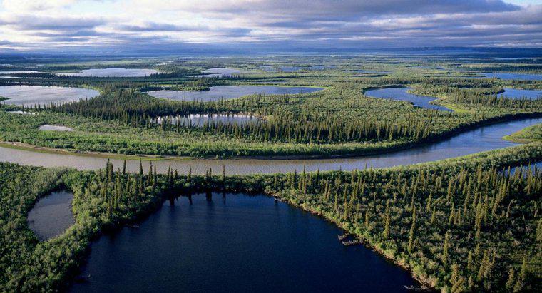 Jaka jest najdłuższa rzeka w Kanadzie?