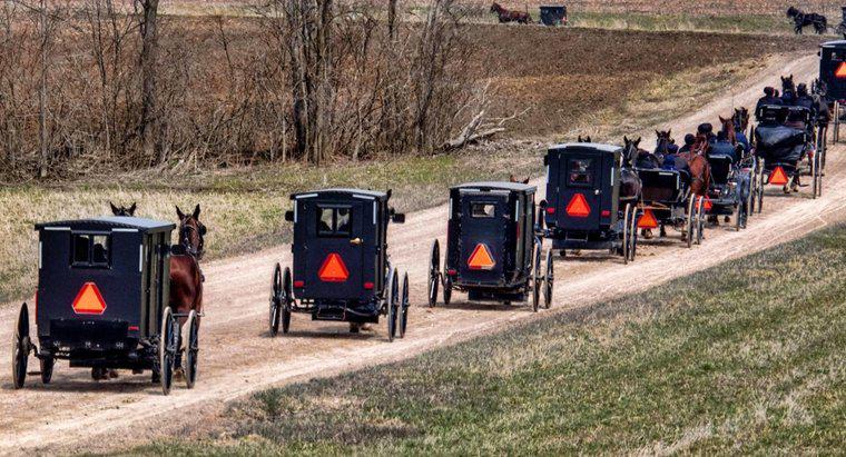 Czy Amish mają numery ubezpieczenia społecznego?