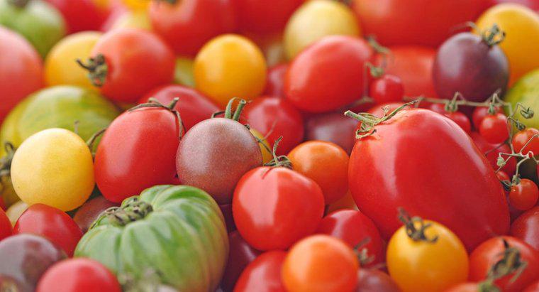 Czy pomidor jest owocem cytrusowym?