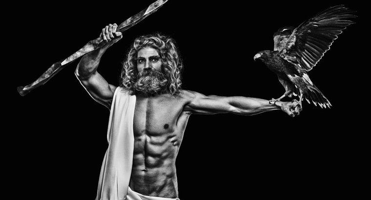 Czym jest fizyczny opis Zeusa?