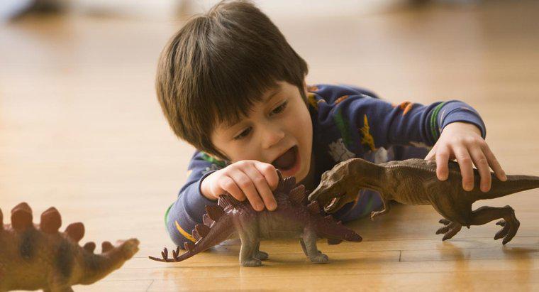 Jaka była długość życia Stegosaurusa?