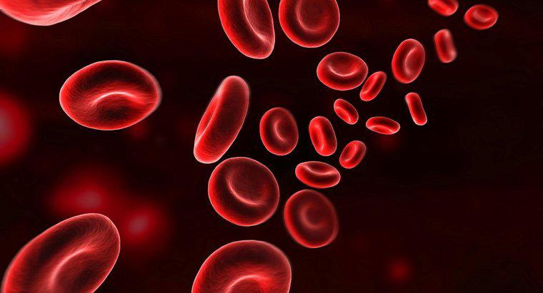 Jak hemoglobina przenosi tlen?