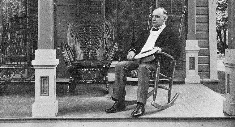Czym jest słynny William McKinley?