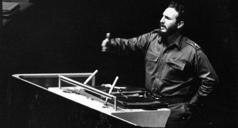 Co zrobił Fidel Castro, który był znaczący?