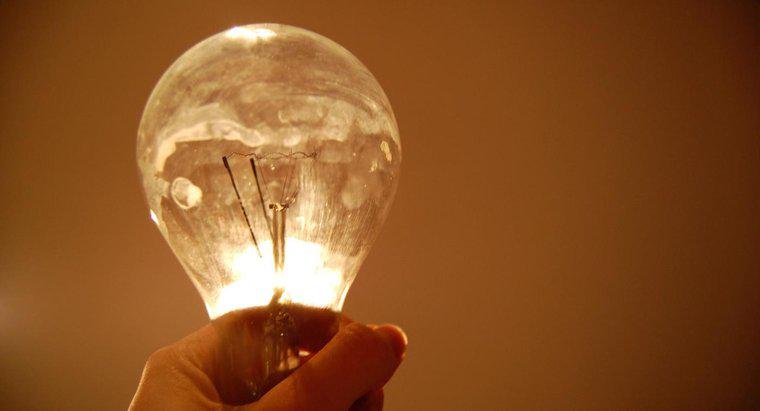 Jak działa Circuit Light Bulb?