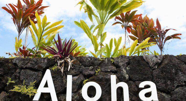 Ile liter znajduje się w alfabecie hawajskim?