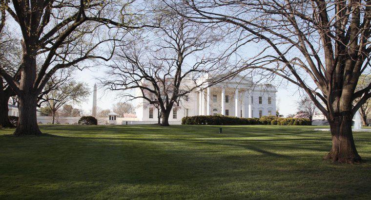 Którzy prezydenci nie mieszkali w Białym Domu?