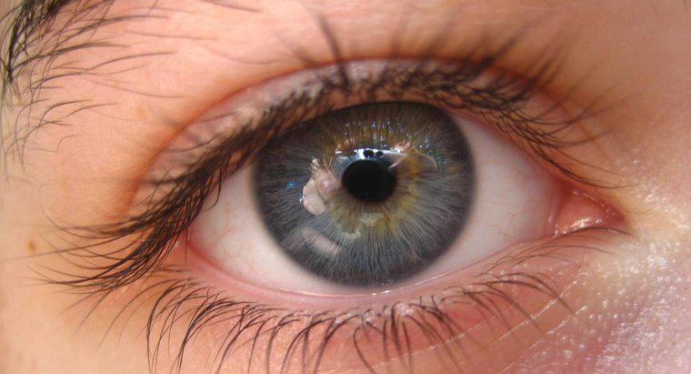 Jak rzadkie są szare oczy?
