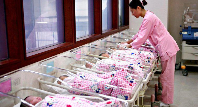 Jaka jest największa liczba dzieci urodzonych w jednym porodzie?