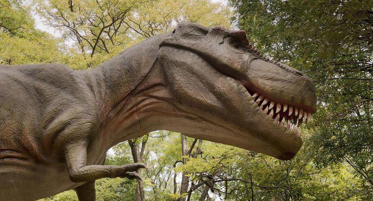 Jaka jest najbliższa relacja tyranozaura Rexa?