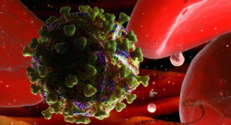 Jak długo może przetrwać HIV poza ciałem ludzkim?