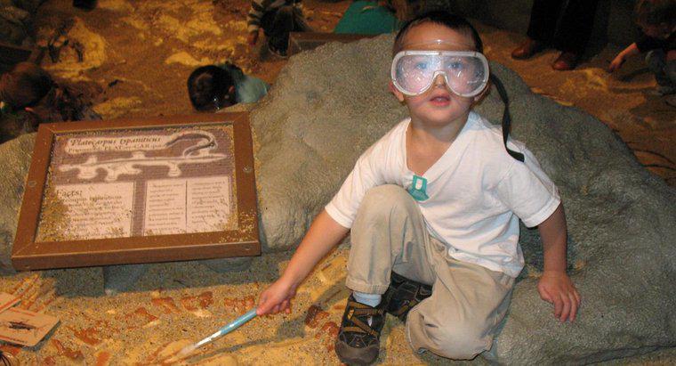 Co robi paleontolog?