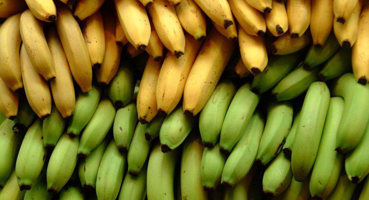 Ile uncji to przeciętny banan?