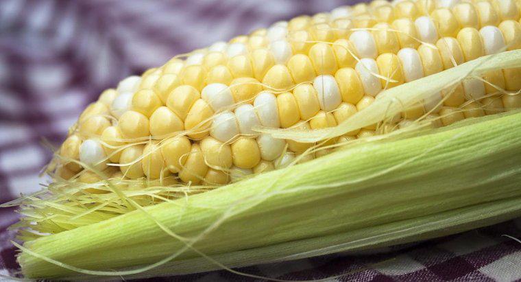 Jak podgrzewasz kukurydzę na kolbie?