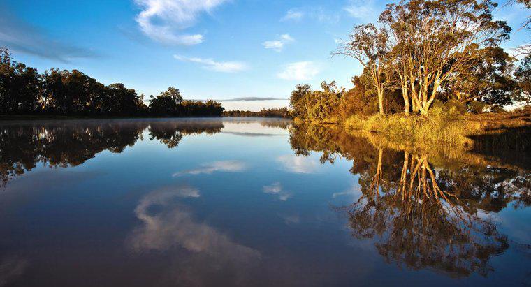 Jak długo trwa najdłuższa rzeka Australii?