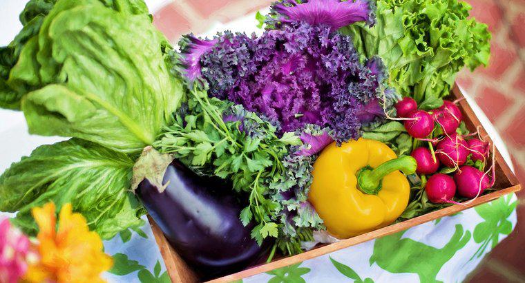 Diety i zdrowie: dieta oparta na roślinach