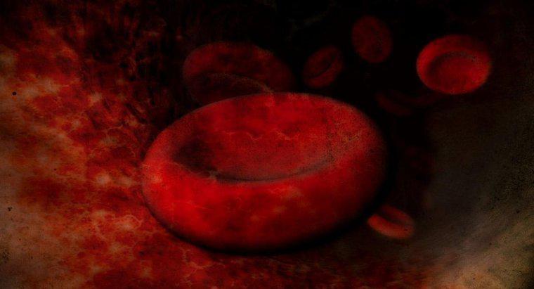 Co jest przyczyną powiększenia czerwonych krwinek?