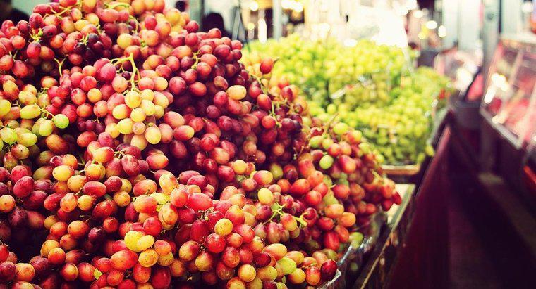 Czy winogrona powinny być schłodzone?