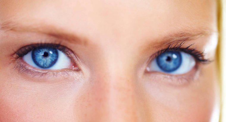 Jaka jest funkcja oczu?