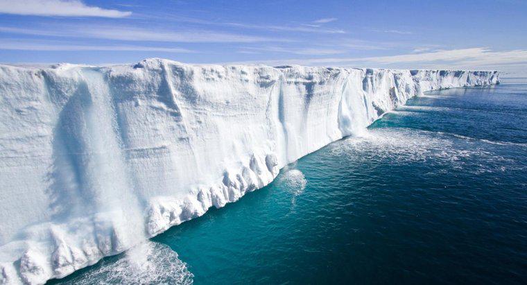 Jaka jest średnia strata Biomów czapeczki lodu polarnego?