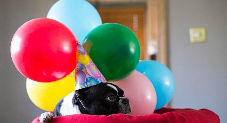 Jakie są najbardziej i najmniej popularne urodziny?