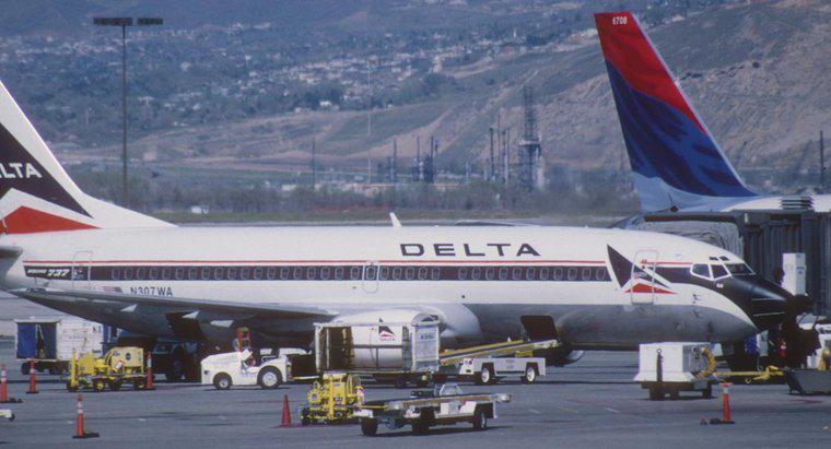 Jak sprawdzić bagaż w Delta Airlines?