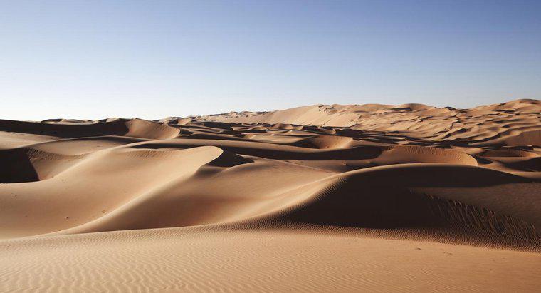 Jakie są fakty na temat pustyni arabskiej?