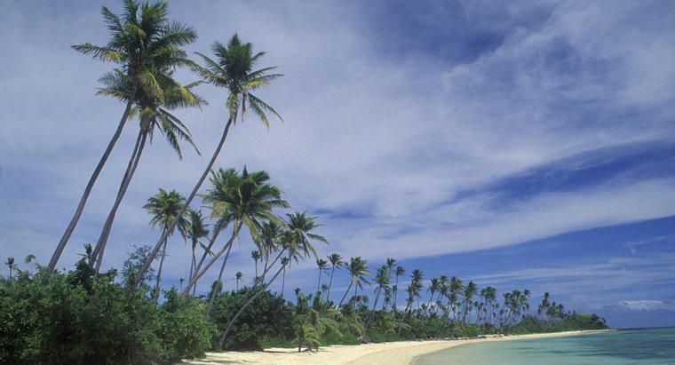 Jakie są fizyczne cechy Fidżi?