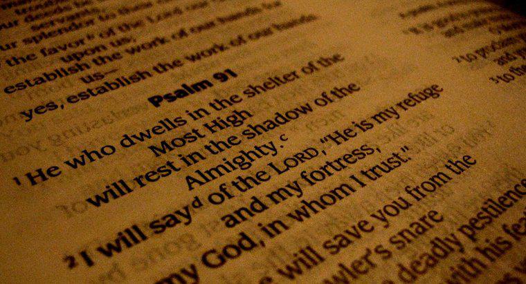 Czym jest Księga Psalmów?