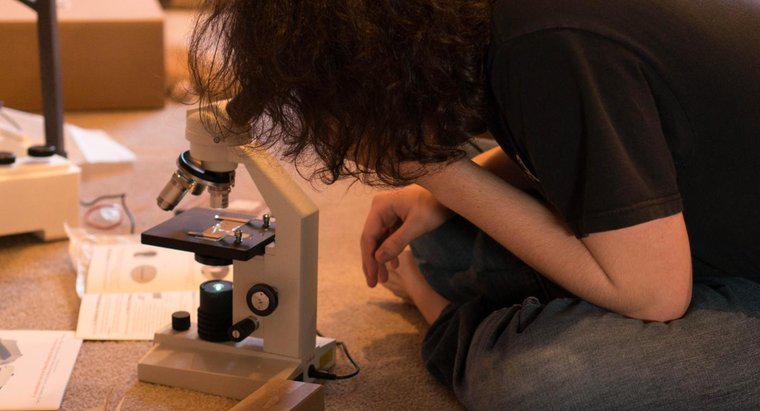 Jakie są zalety i wady mikroskopów?