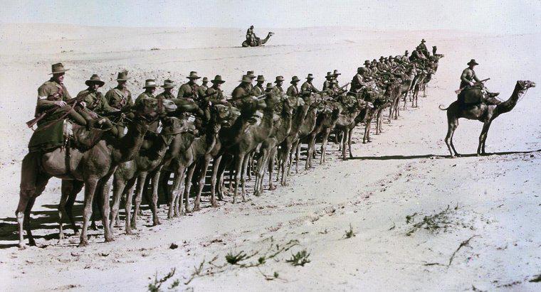 Jak imperializm przyczynił się do I wojny światowej?