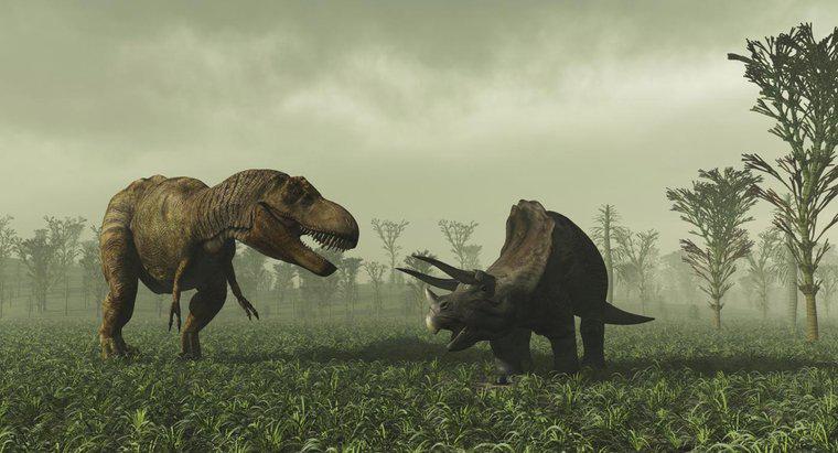Jakie są dwie klasy dinozaurów?
