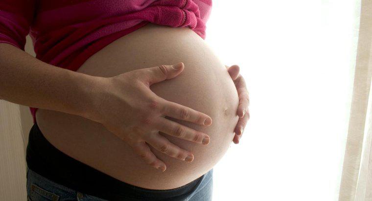 Jaka jest najdłuższa ciąża w historii?