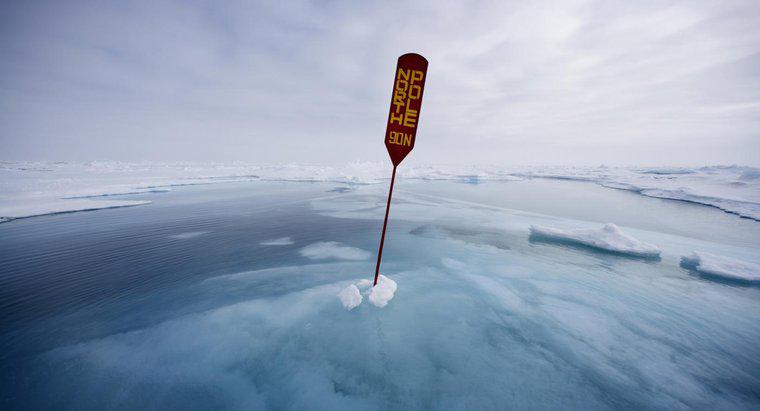 Jakie są interesujące fakty dotyczące Oceanu Arktycznego?